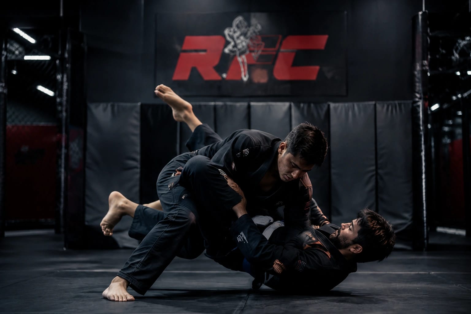 Jiu-Jitsu - photo 2