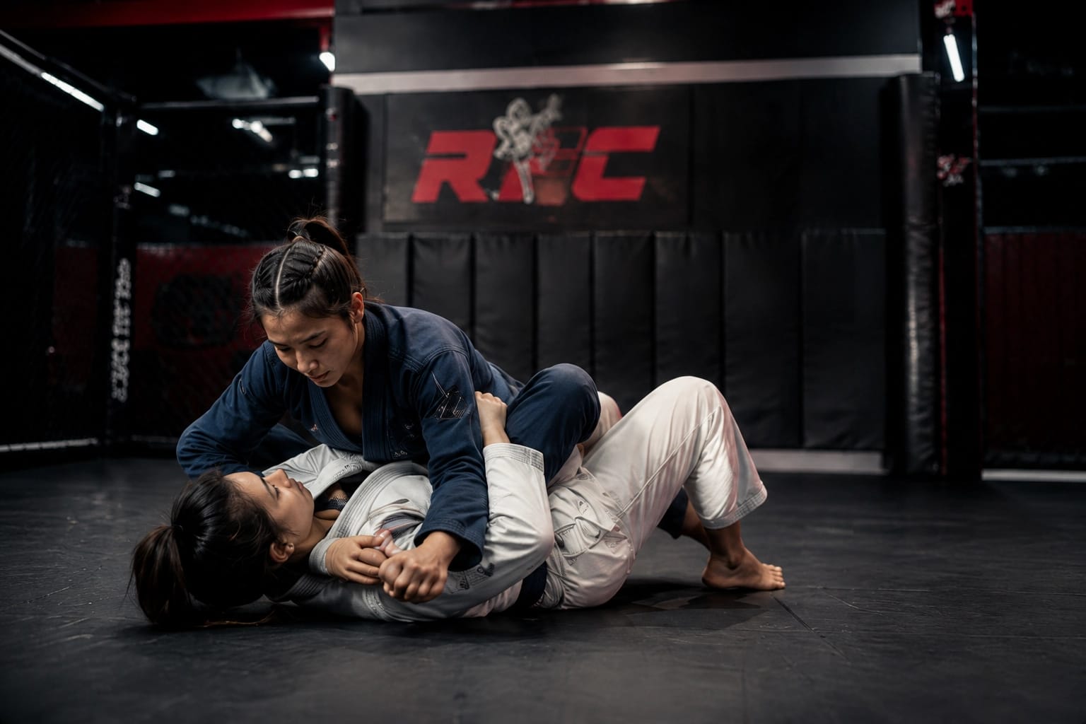 Jiu-Jitsu - photo 3
