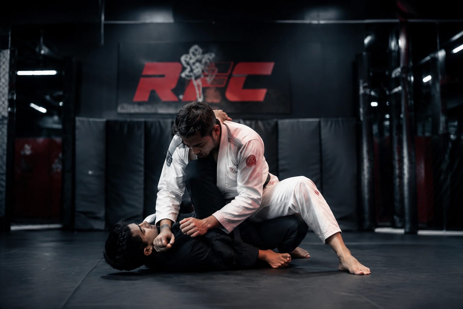 Jiu-Jitsu - photo 4