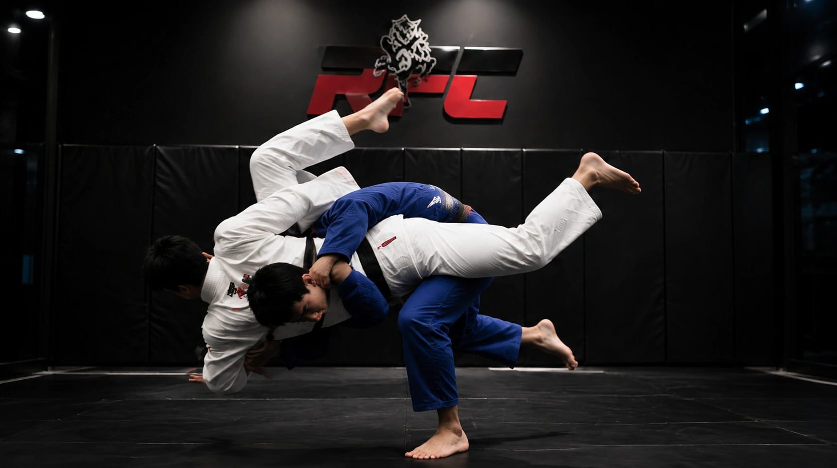 Judo - photo 4