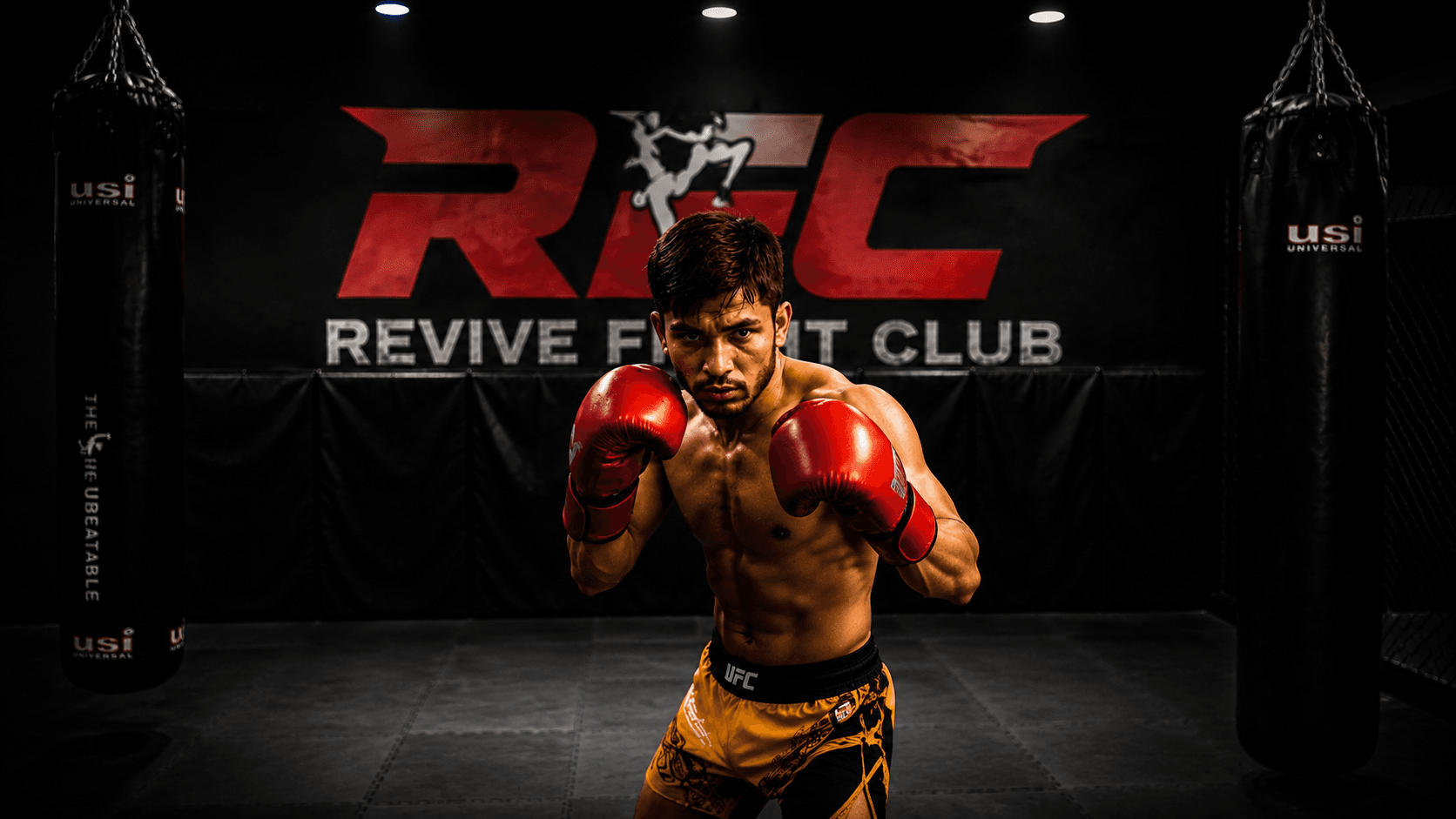 MMA - photo 1