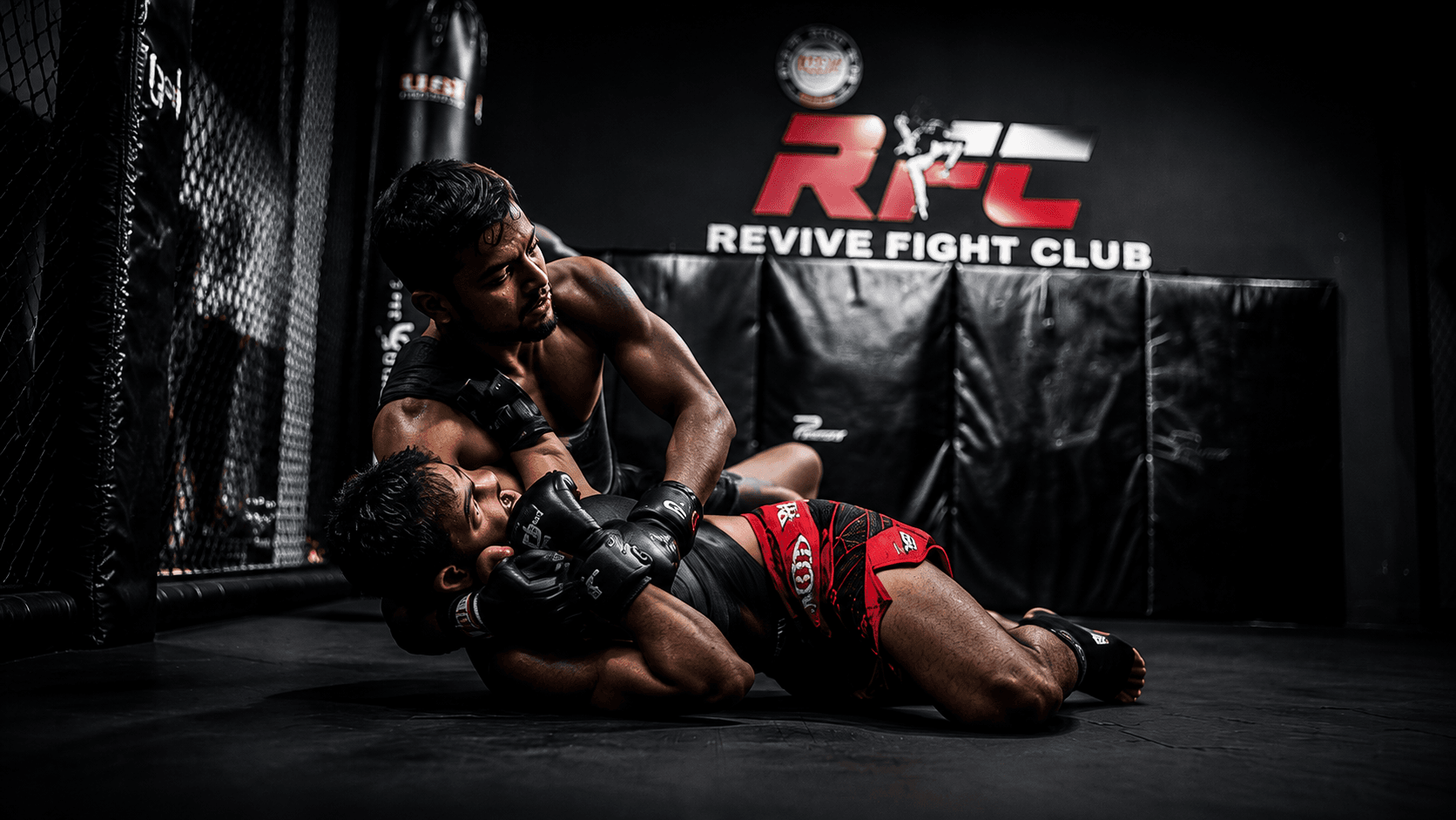 MMA - photo 3