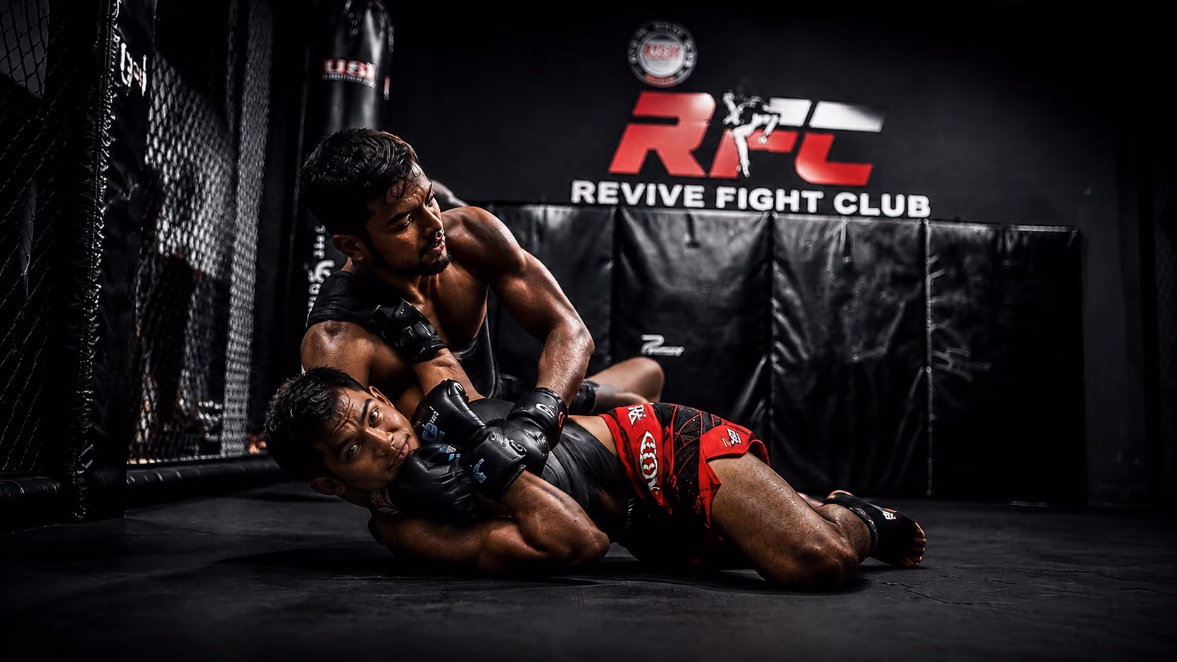 MMA - photo 3