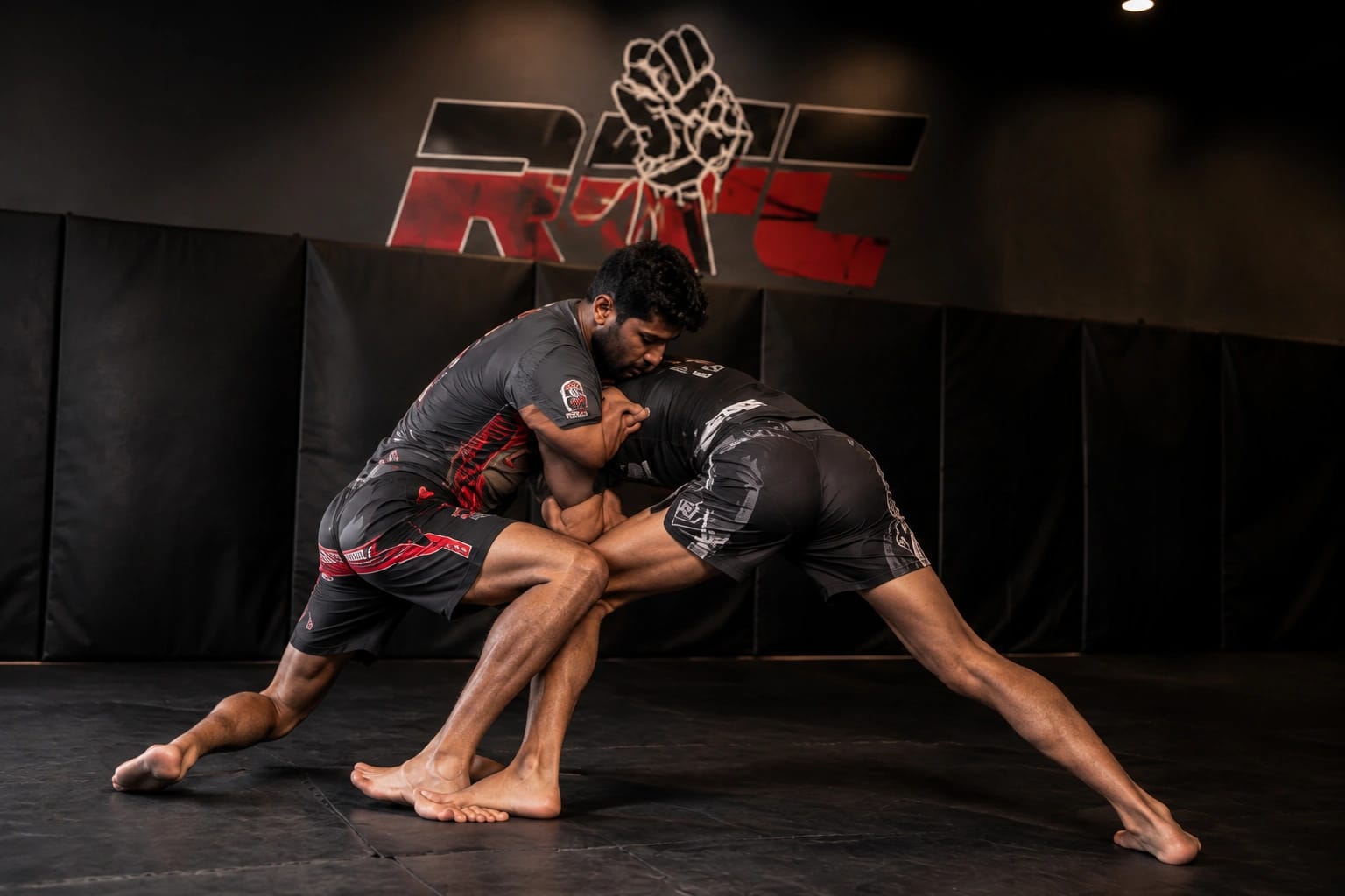 Wrestling - photo 3